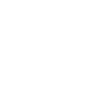 DDV_Logo_weiß_trans-06